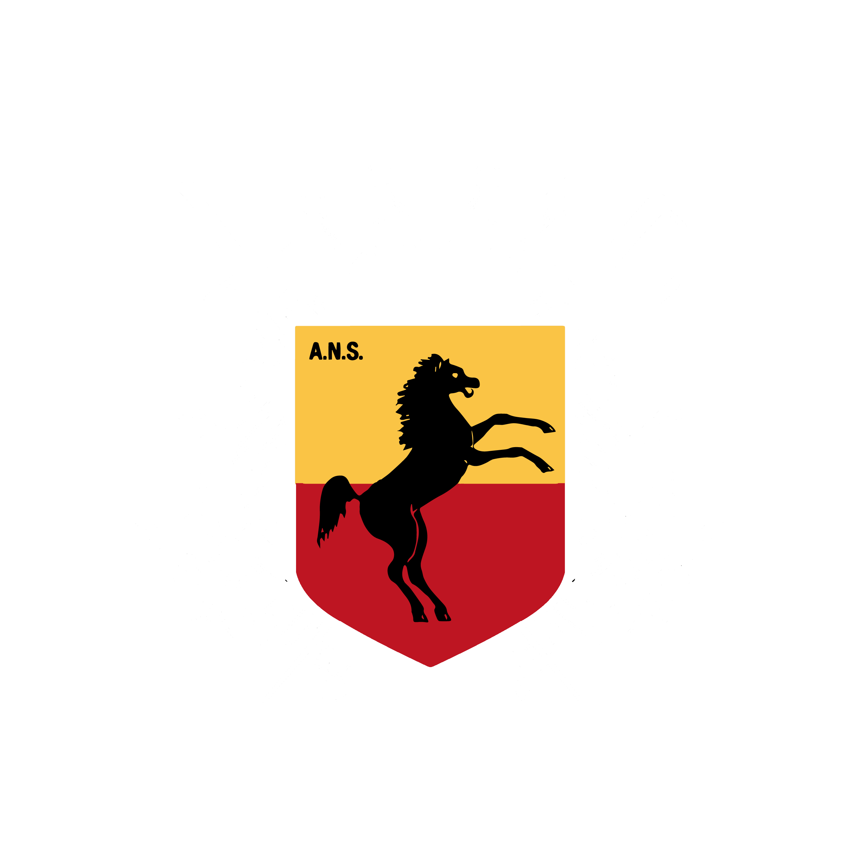 Accademia Nazionale di Scherma