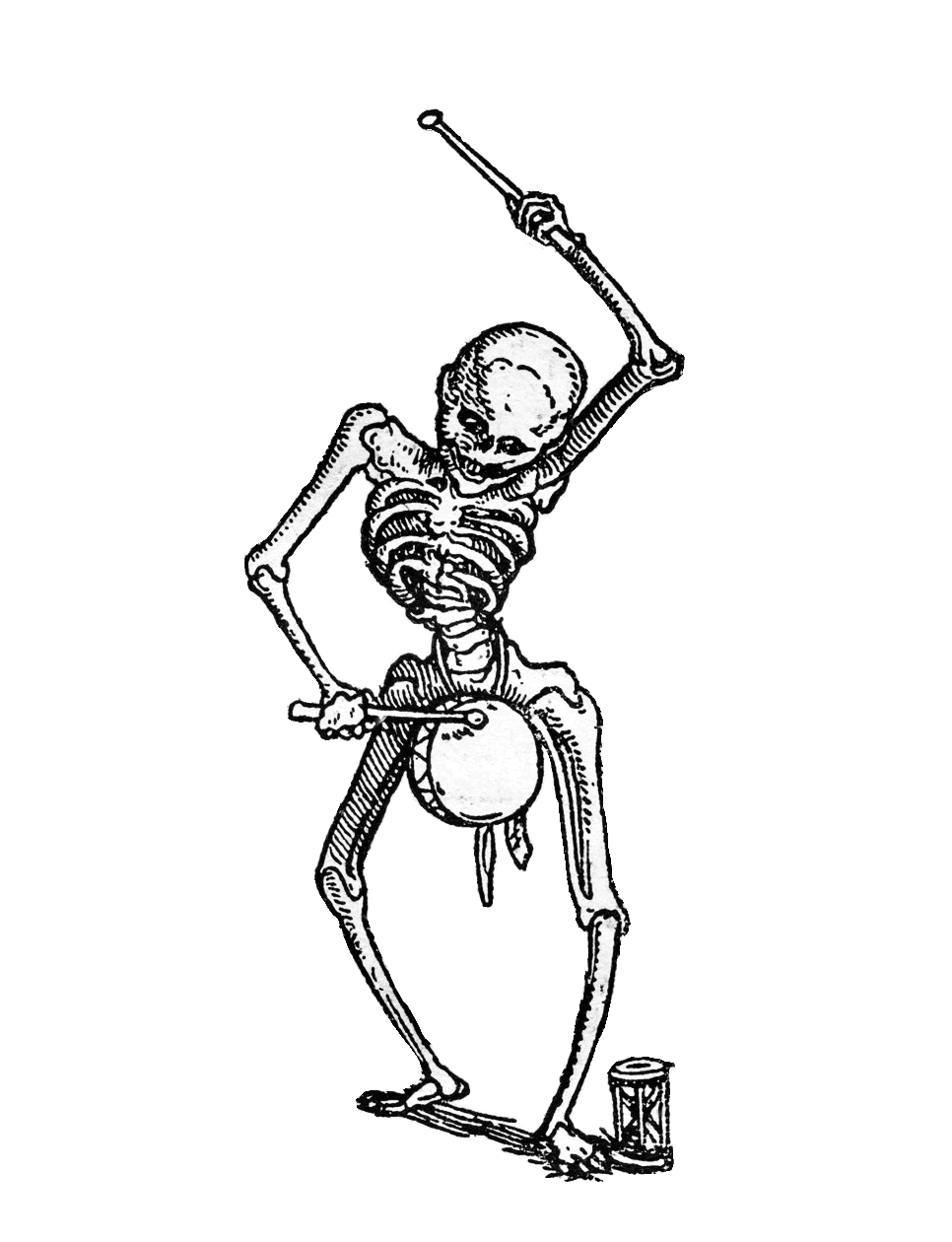 collanaorigini.it favicon